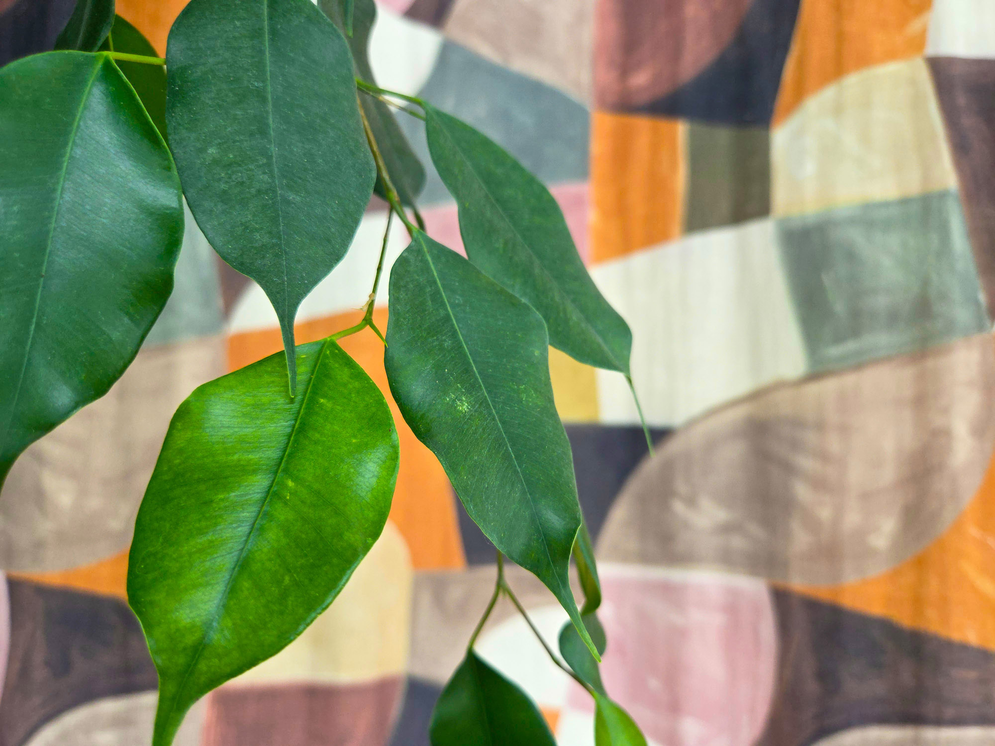 Hochwertige nachhaltige Interior-Textilie mit farbenfrohem Muster und grünen Blättern im Hintergrund.